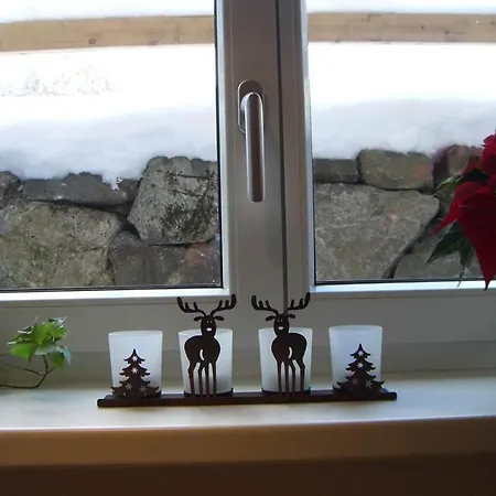 Lejlighed Pfeifer Veronika *